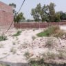 5 Marla Plot For Sale Al Kareem Town Khanpur