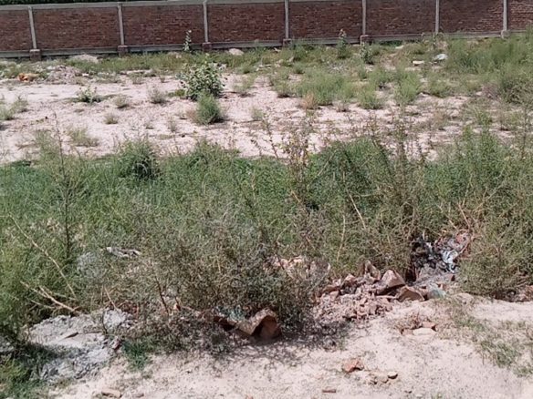 7 Marla Plot For Sale Al Kareem Town Khanpur