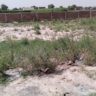 7 Marla Plot For Sale Al Kareem Town Khanpur