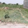 7 Marla Plot For Sale Green Town Khanpur