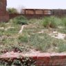7 Marla Plot For Sale Green Town Khanpur