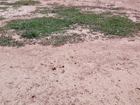 3 Marla Commercial Plot For Sale Bagh O Bahar Road khanpur