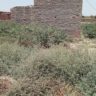 3 Marla plot For Sale Sultan Nagar Khanpur