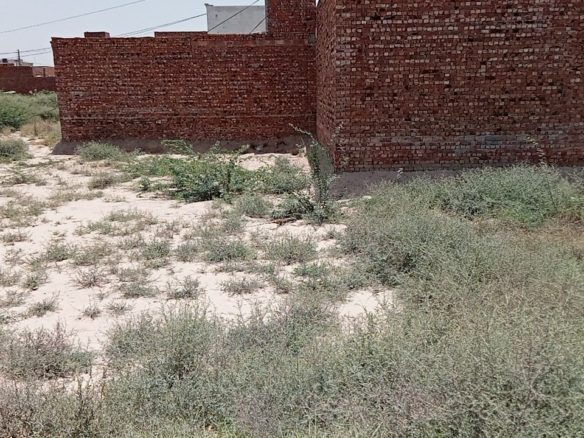 5 Marla Plot For Sale Sultan Nagar Khanpur 