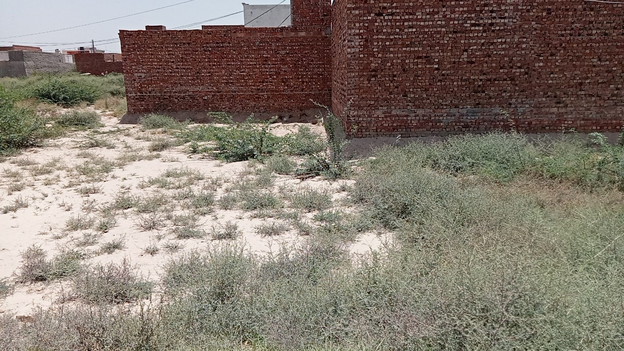 5 Marla Plot For Sale Sultan Nagar Khanpur 