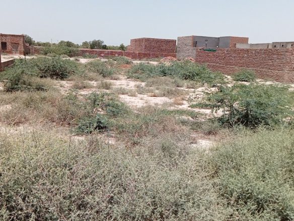 5 Marla Plot For Sale Sultan Nagar Khanpur