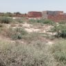 5 Marla Plot For Sale Sultan Nagar Khanpur