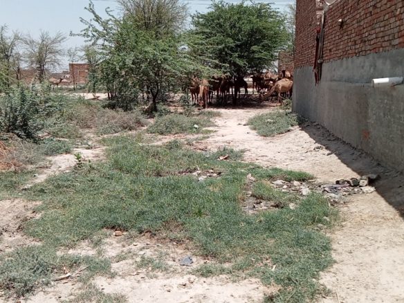 10 Marla Plot For Sale Ahmad Town khanpur