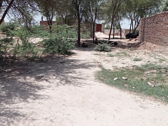 5 Marla Plot For Sale Ahmad Town khanpur