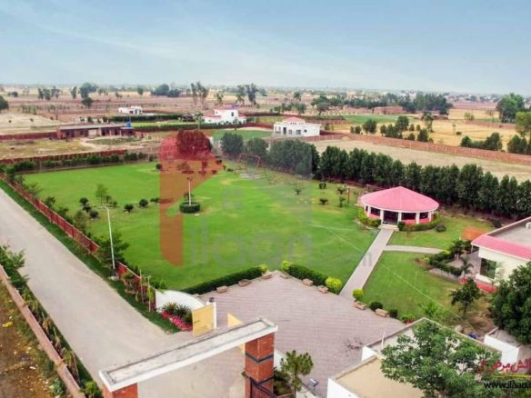10 Kanal Farm House For Sale Bedian Road Lahore