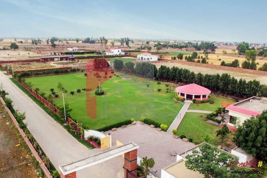 10 Kanal Farm House For Sale Bedian Road Lahore