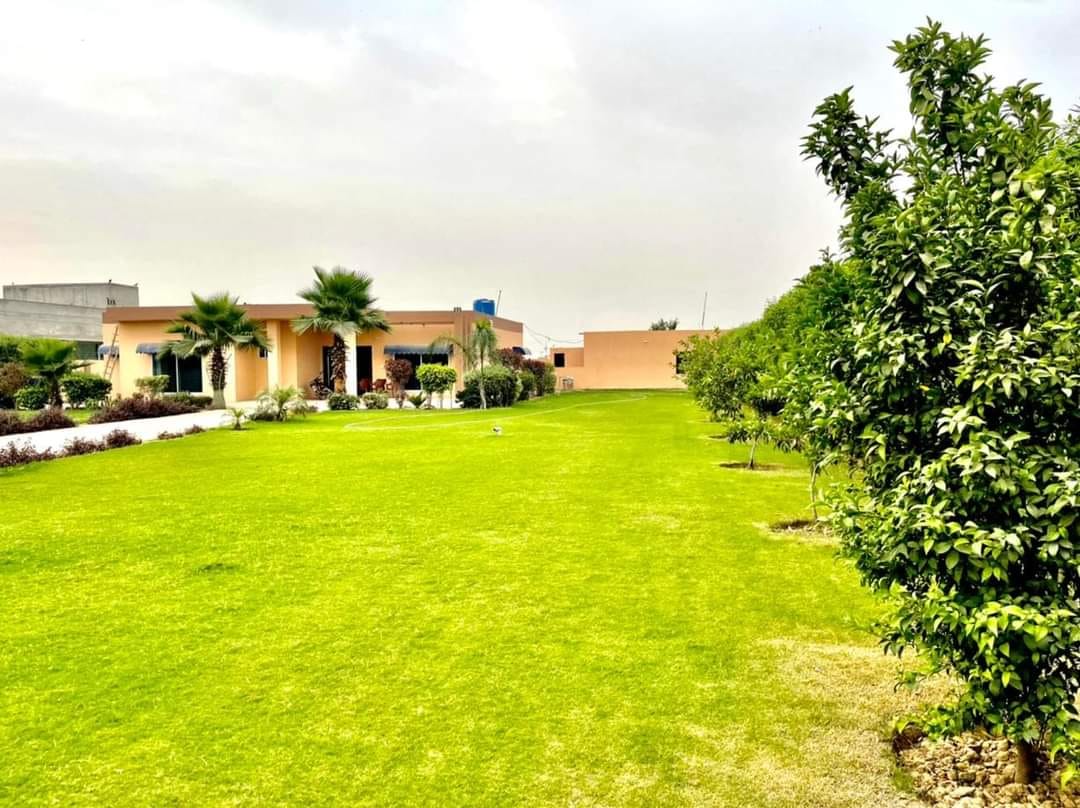 10 Kanal Farm House For Sale Bedian Road Lahore