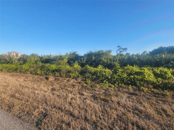 12825 Xavier Ave, Port Charlotte, FL 33981