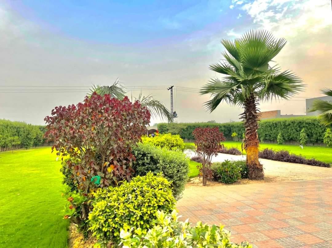 2 Kanal Farm House For Sale Bedian Road Lahore