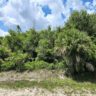 22nd Ave SE, Naples, FL 34117