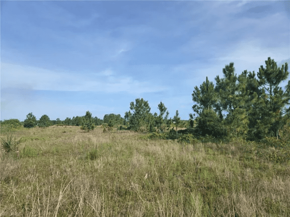 3065 Everglades Blvd N, Naples, FL 34120