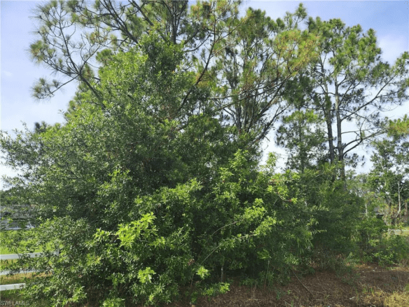 5 32nd Ave SE, Naples, FL 34117