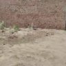 Commercial Plot For Sale Fazal Garden Khanpur