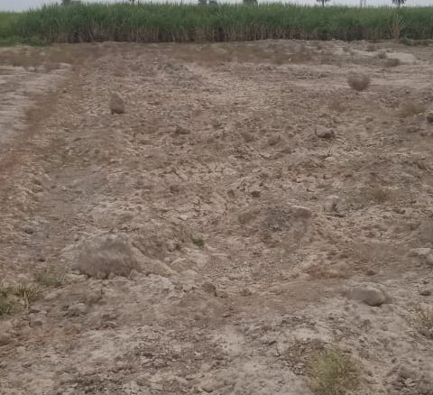 Land For Sale Basti Azeem Shah Khanpur