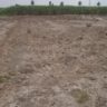 Land For Sale Basti Azeem Shah Khanpur