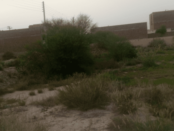5 Marla Plot For Sale Khayaban-e-Akhtar Phase 2 Khanpur
