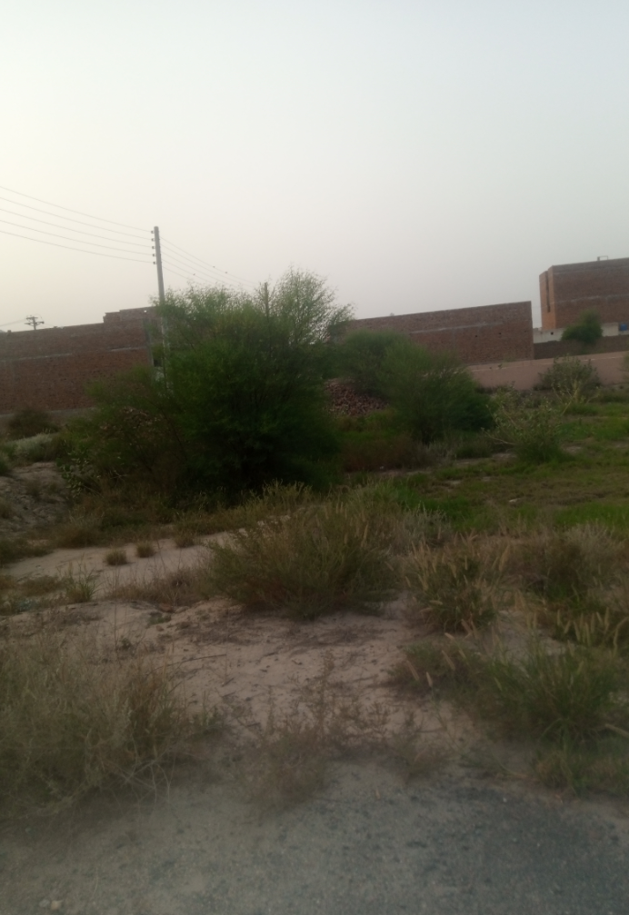 5 Marla Plot For Sale Khayaban-e-Akhtar Phase 2 Khanpur