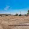 Commercial Land For Rent in Rialto Ave