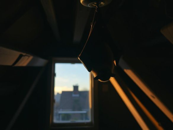 Are Bat Assessments Required for Flat Roofs