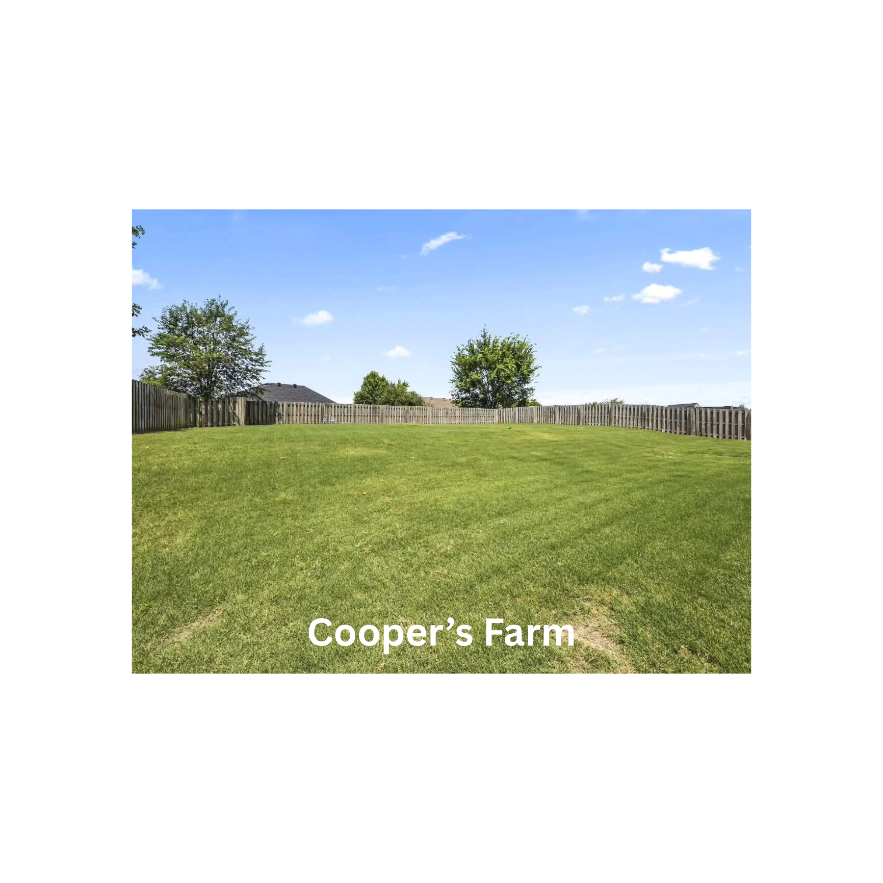 Cooper’s Farm (1)