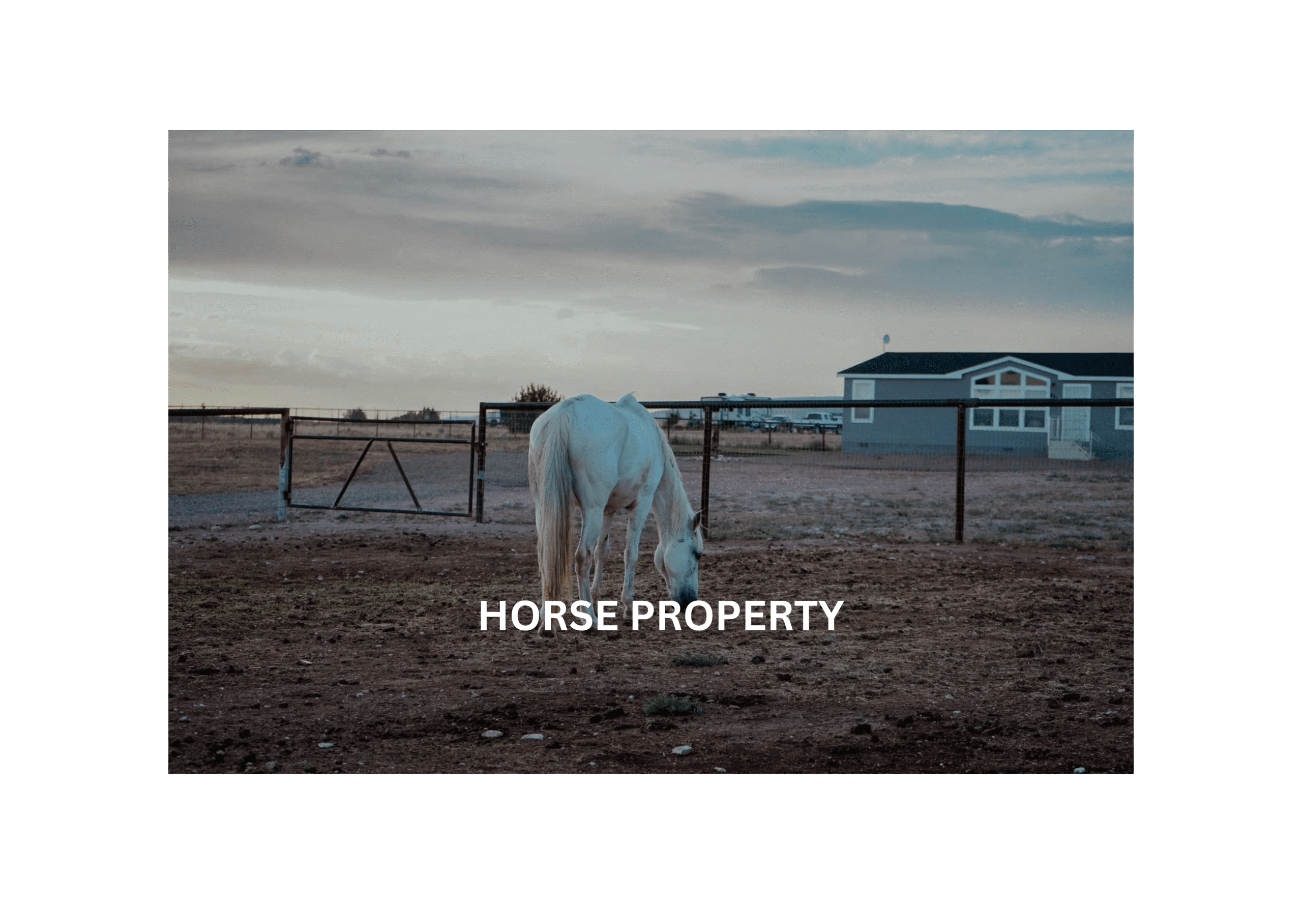 HORSE PROPERTY (3)