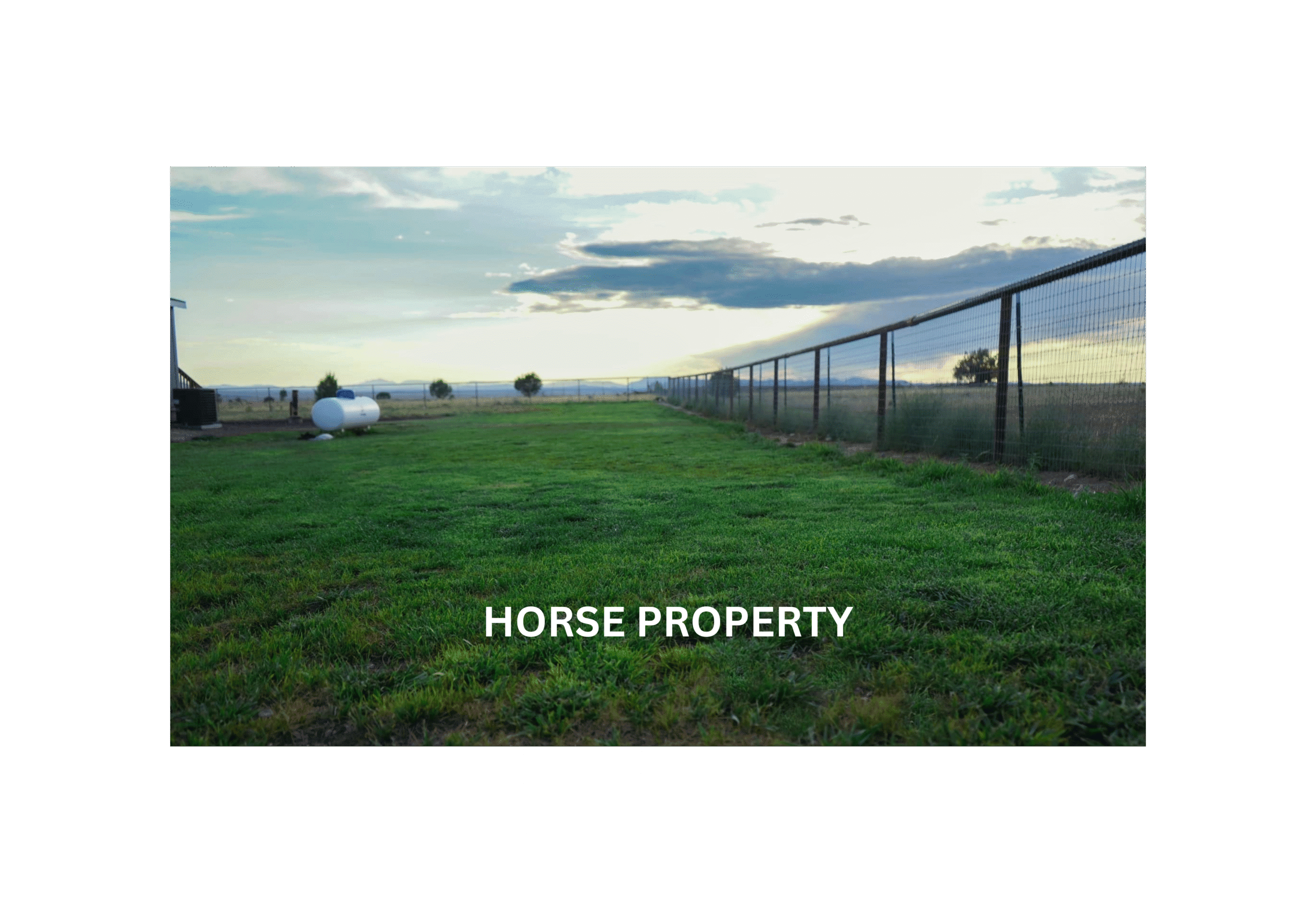 HORSE PROPERTY (4)