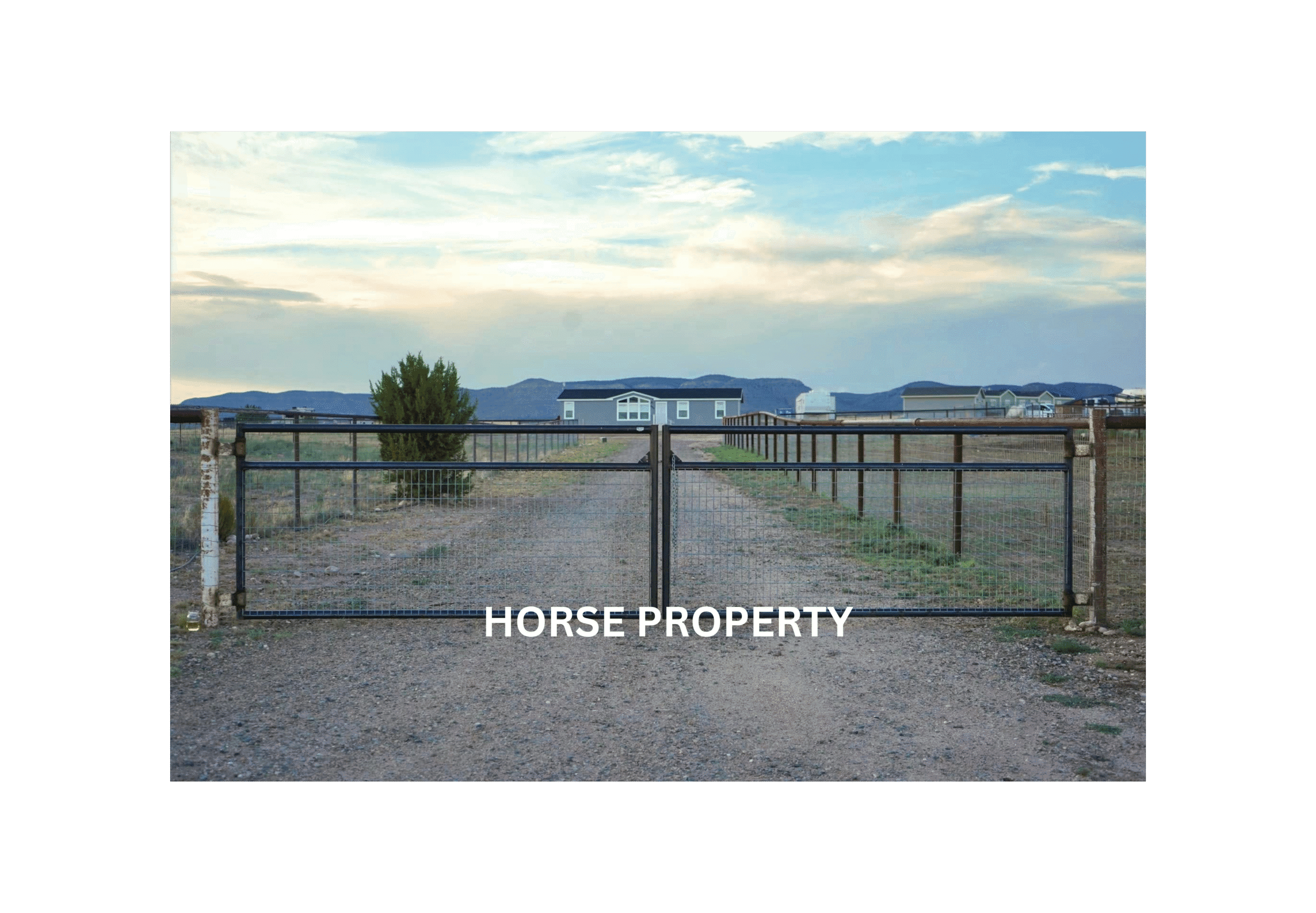 HORSE PROPERTY (5)