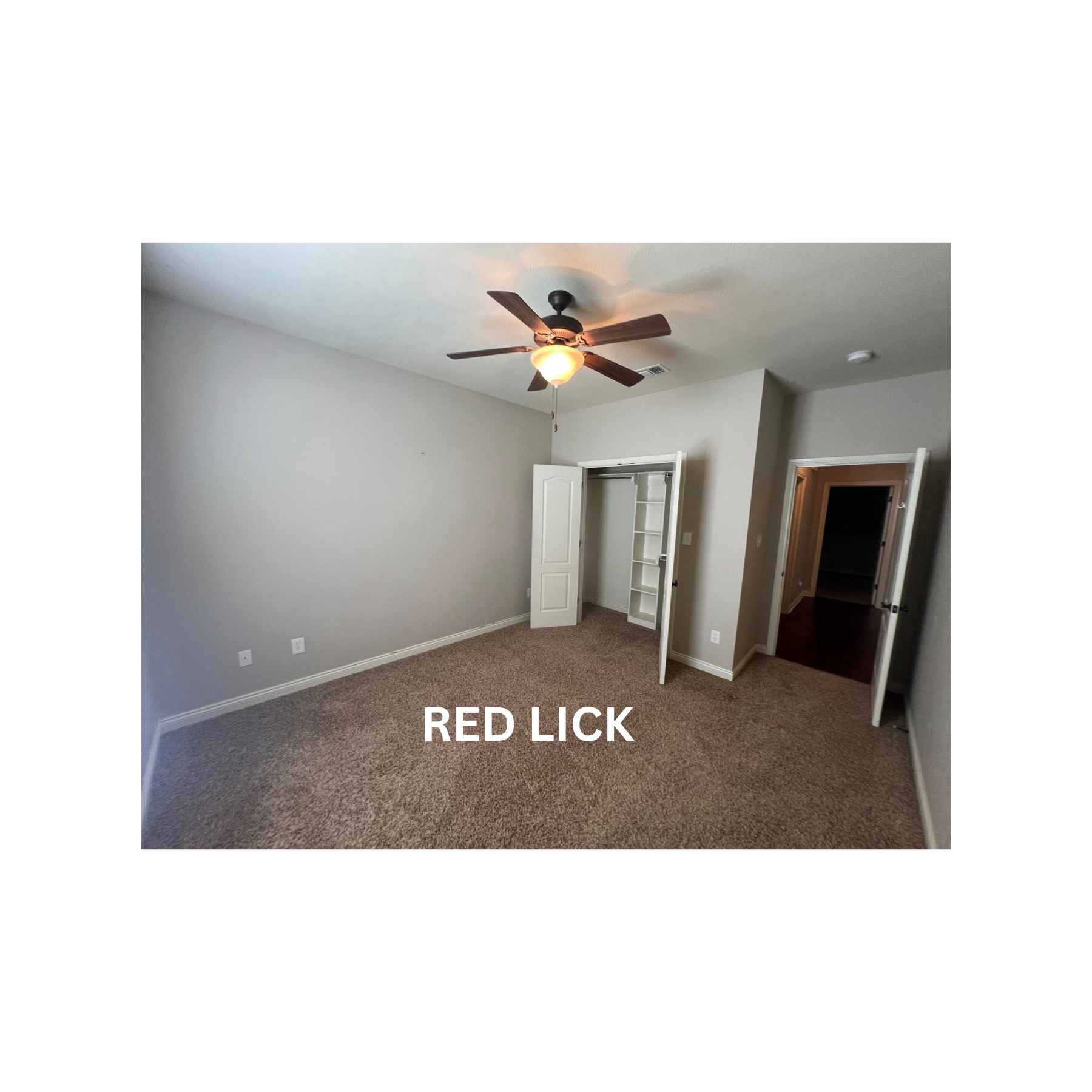RED LICK (10)