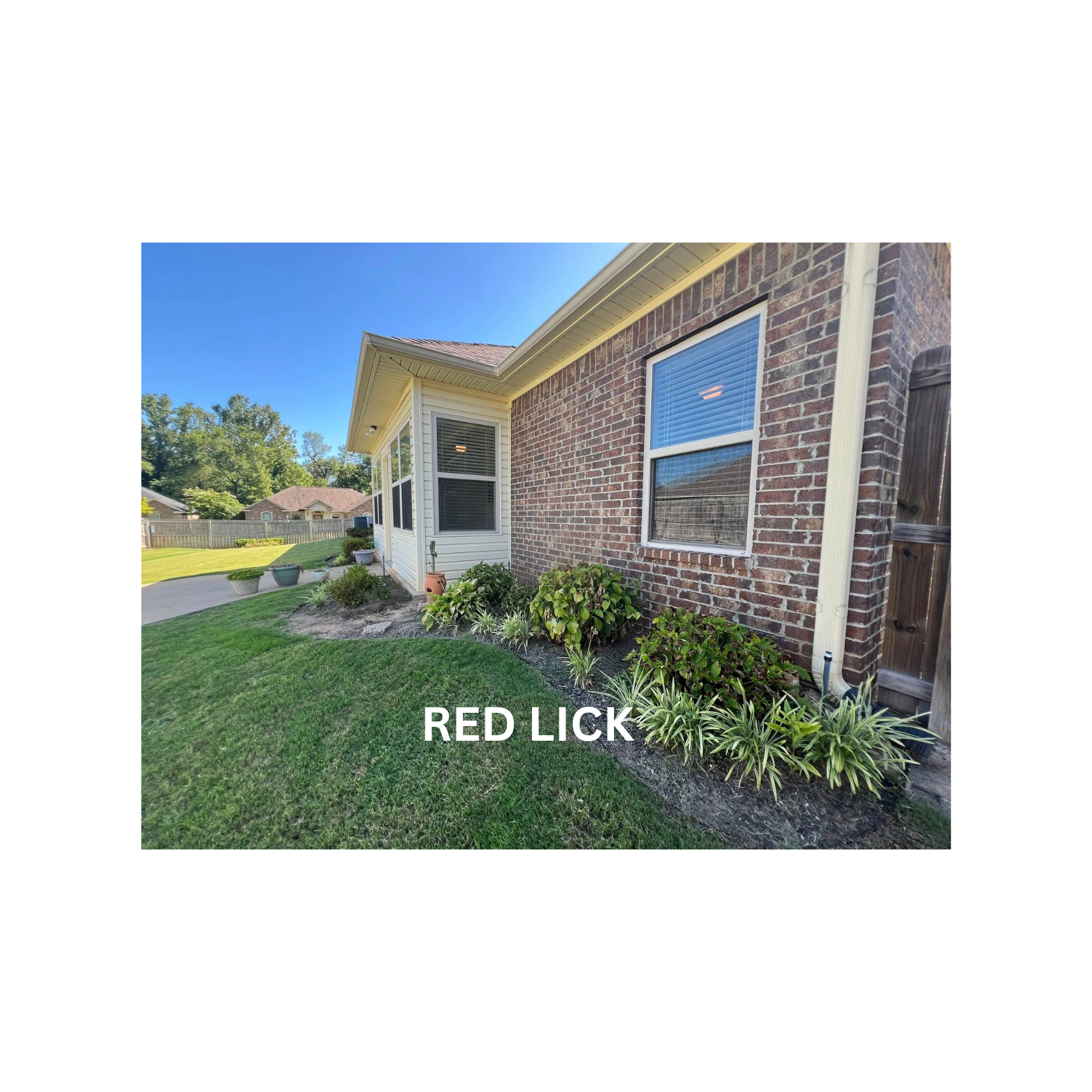 RED LICK (11)