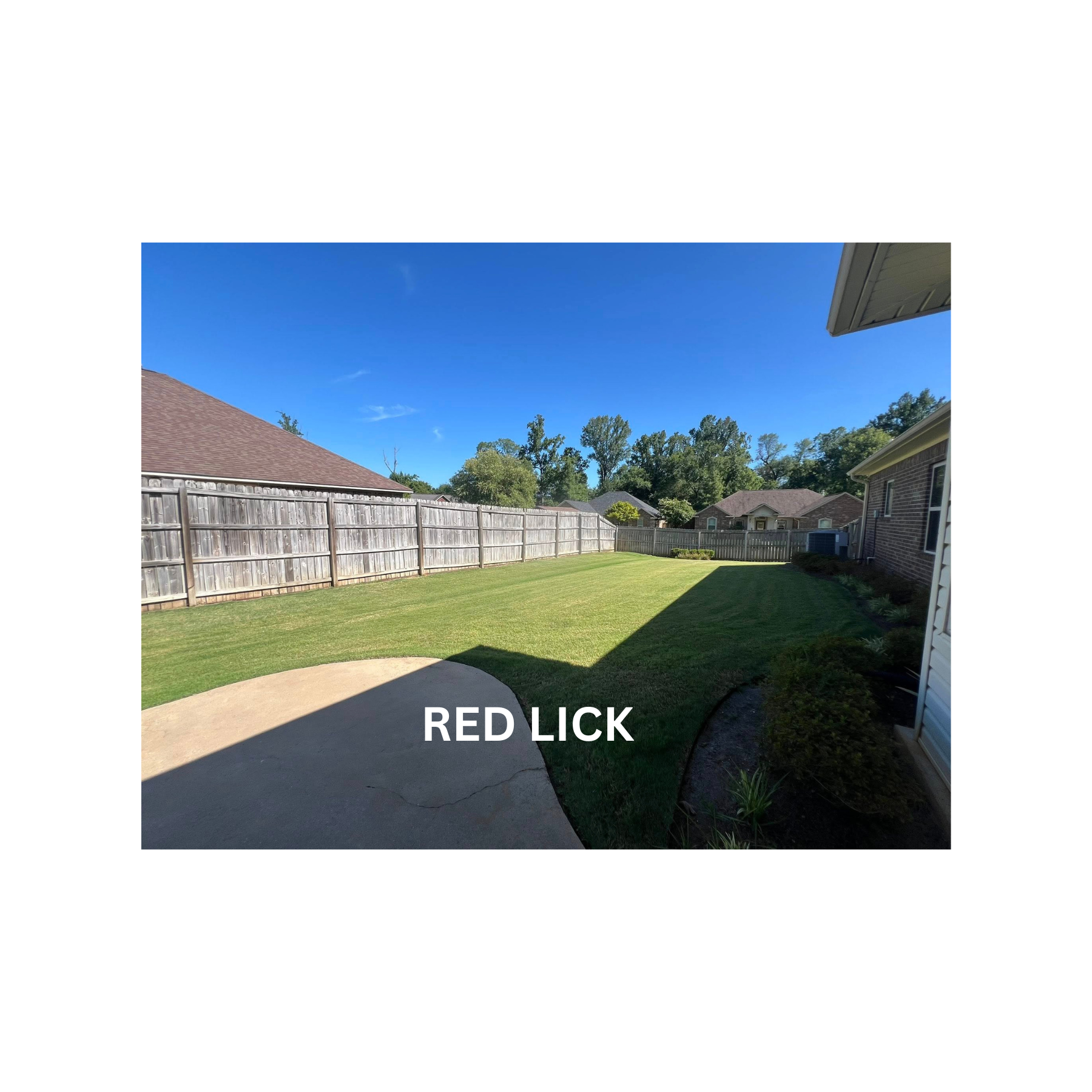 RED LICK (12)
