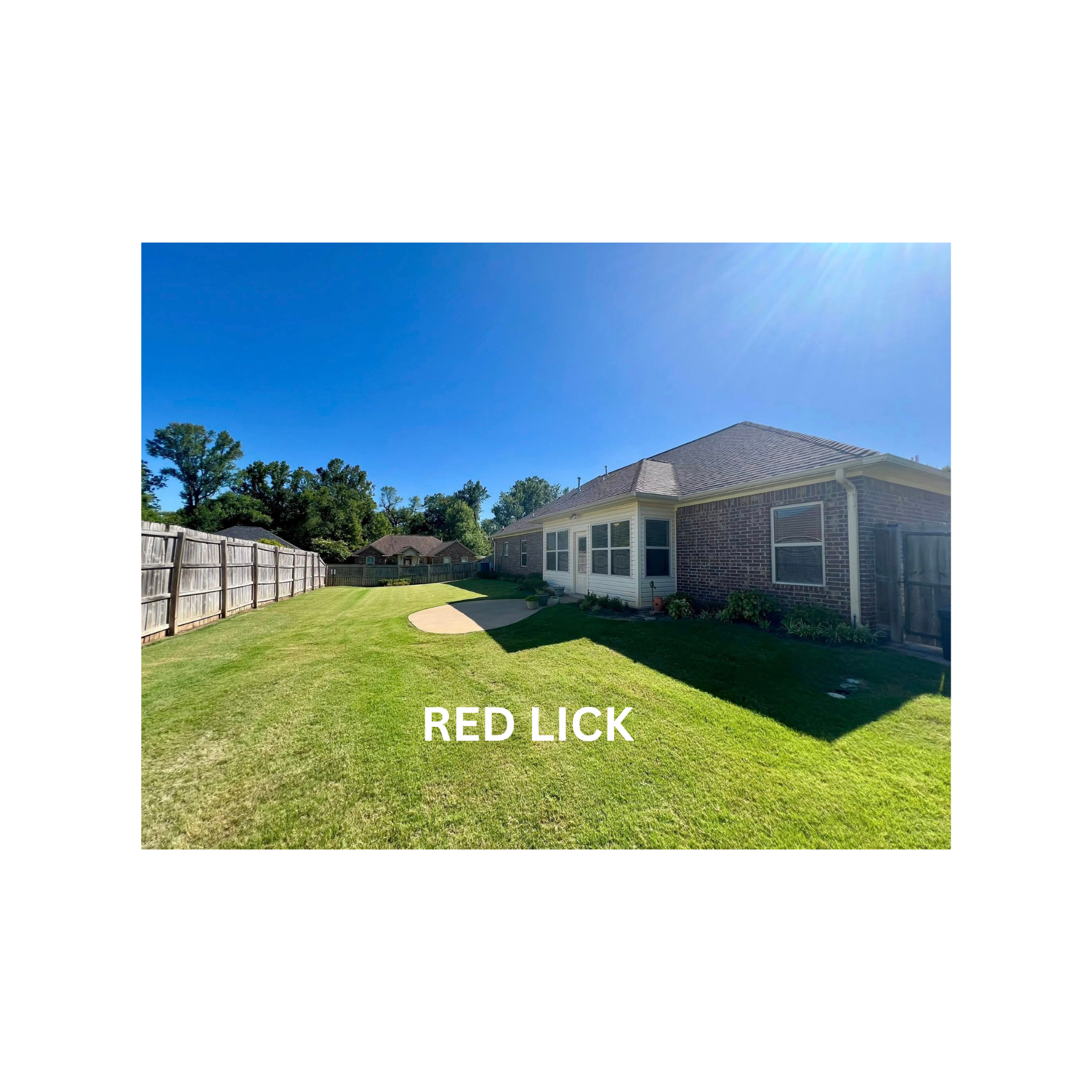 RED LICK (13)