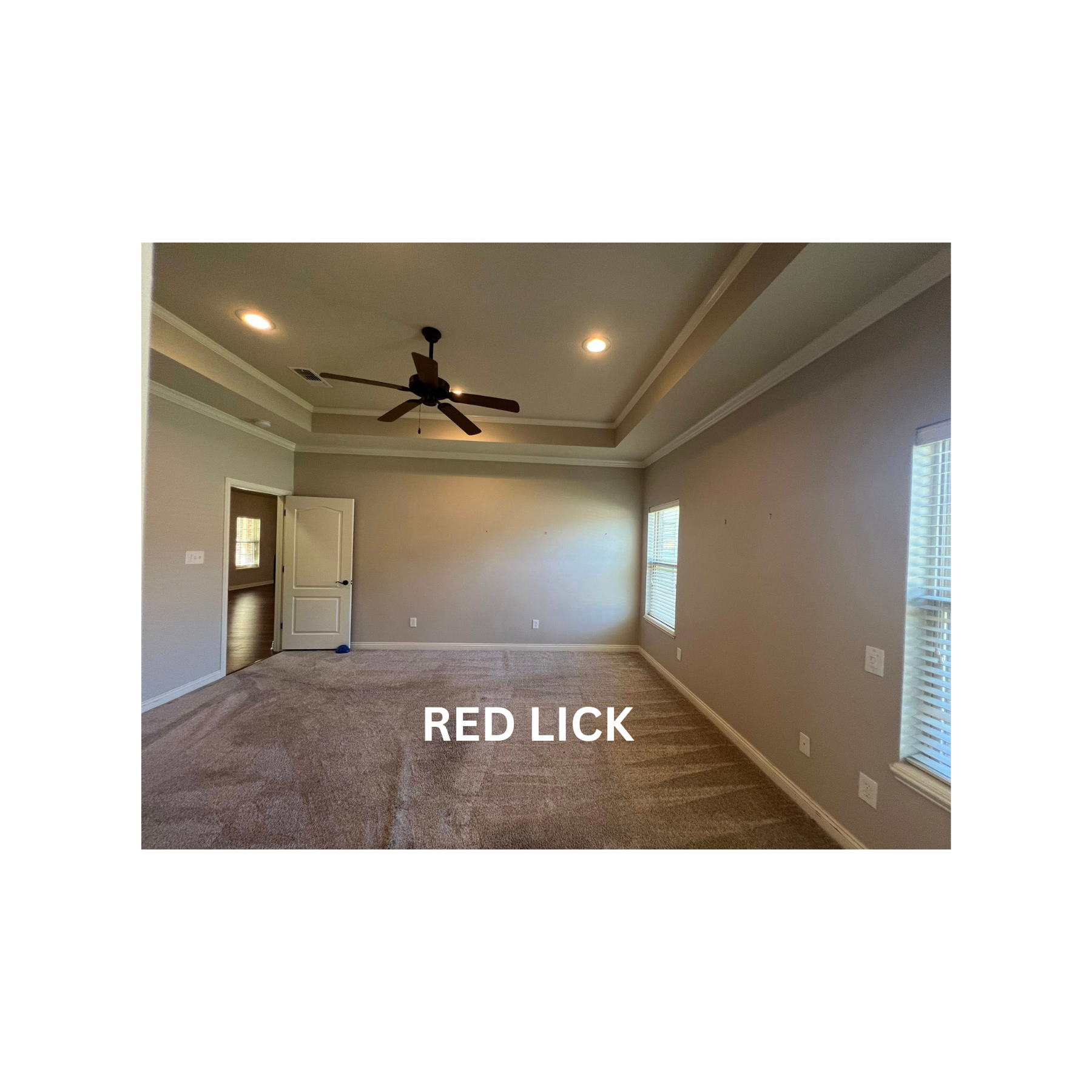 RED LICK (8)