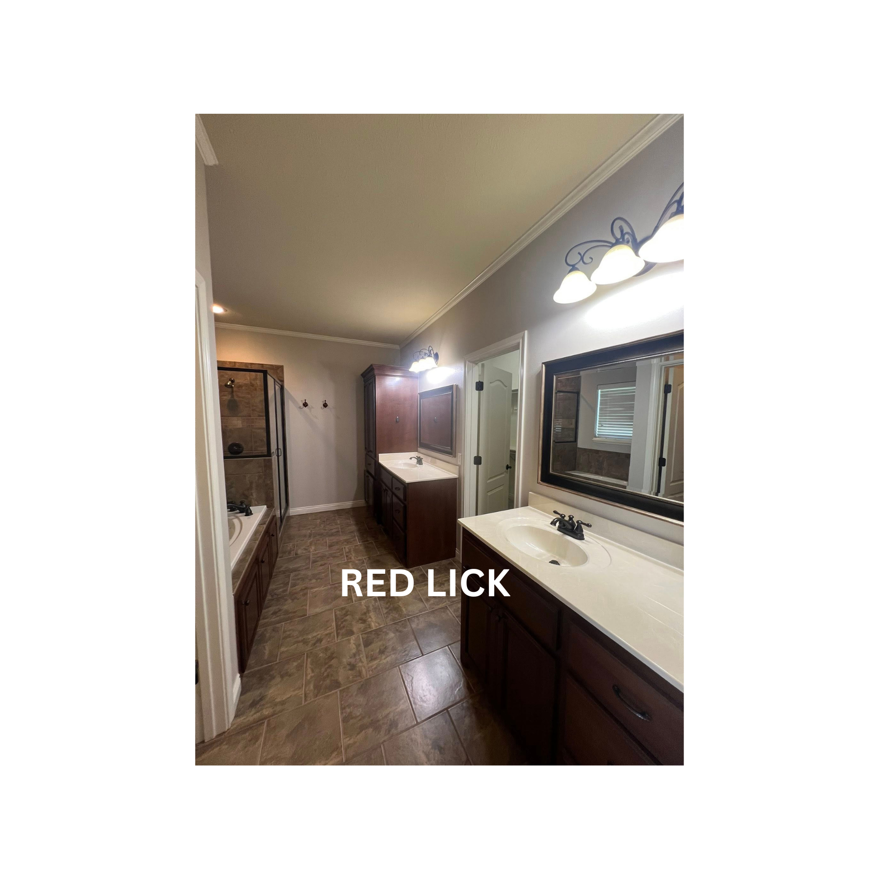 RED LICK (9)