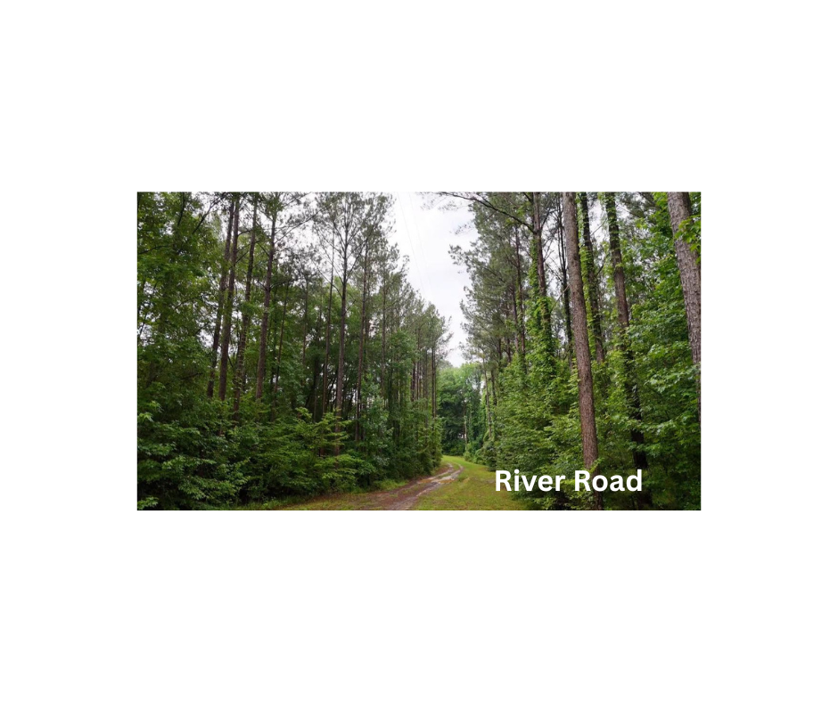 Soft Brown Minimalist Aesthetic Luxury Wedding Jewelry Facebook Post (11)