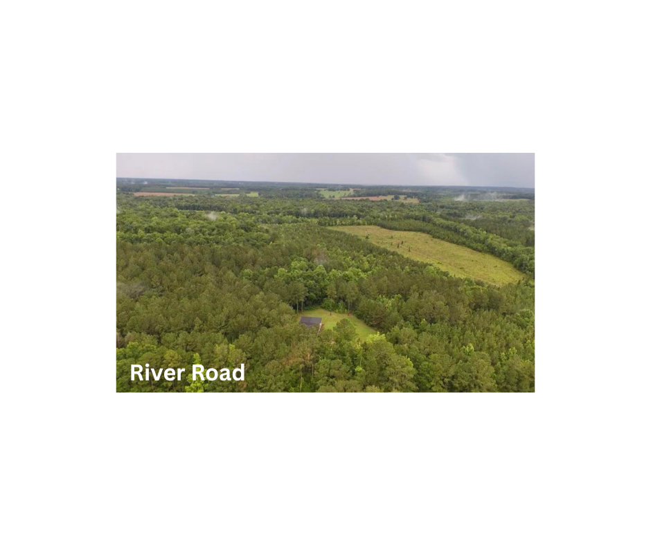 Soft Brown Minimalist Aesthetic Luxury Wedding Jewelry Facebook Post (22)