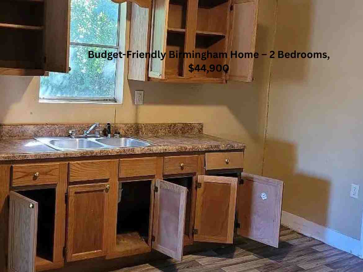 Budget-Friendly Birmingham Home – 2 Bedrooms, $44,900 (2)