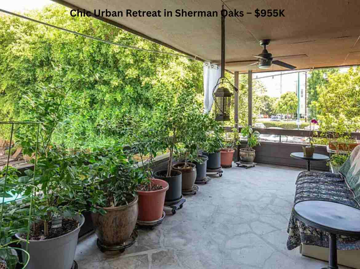 Chic Urban Retreat in Sherman Oaks – $955K (2)
