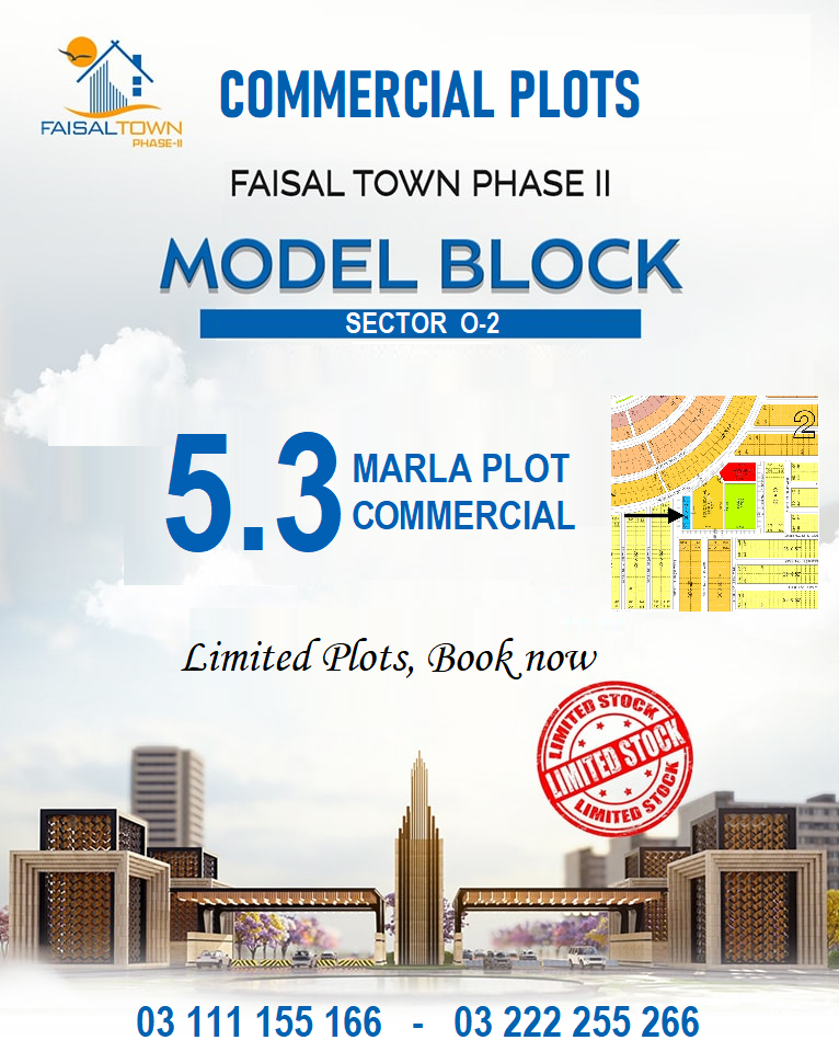 Faisal Town 1666